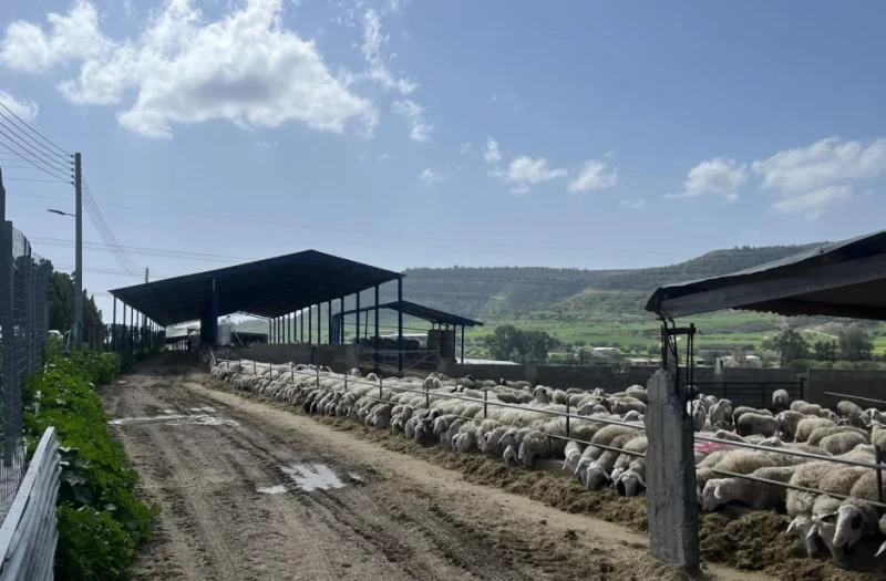 Αφθώδης πυρετός: Πρόστιμα χιλιάδων ευρώ για παραβίαση των μέτρων